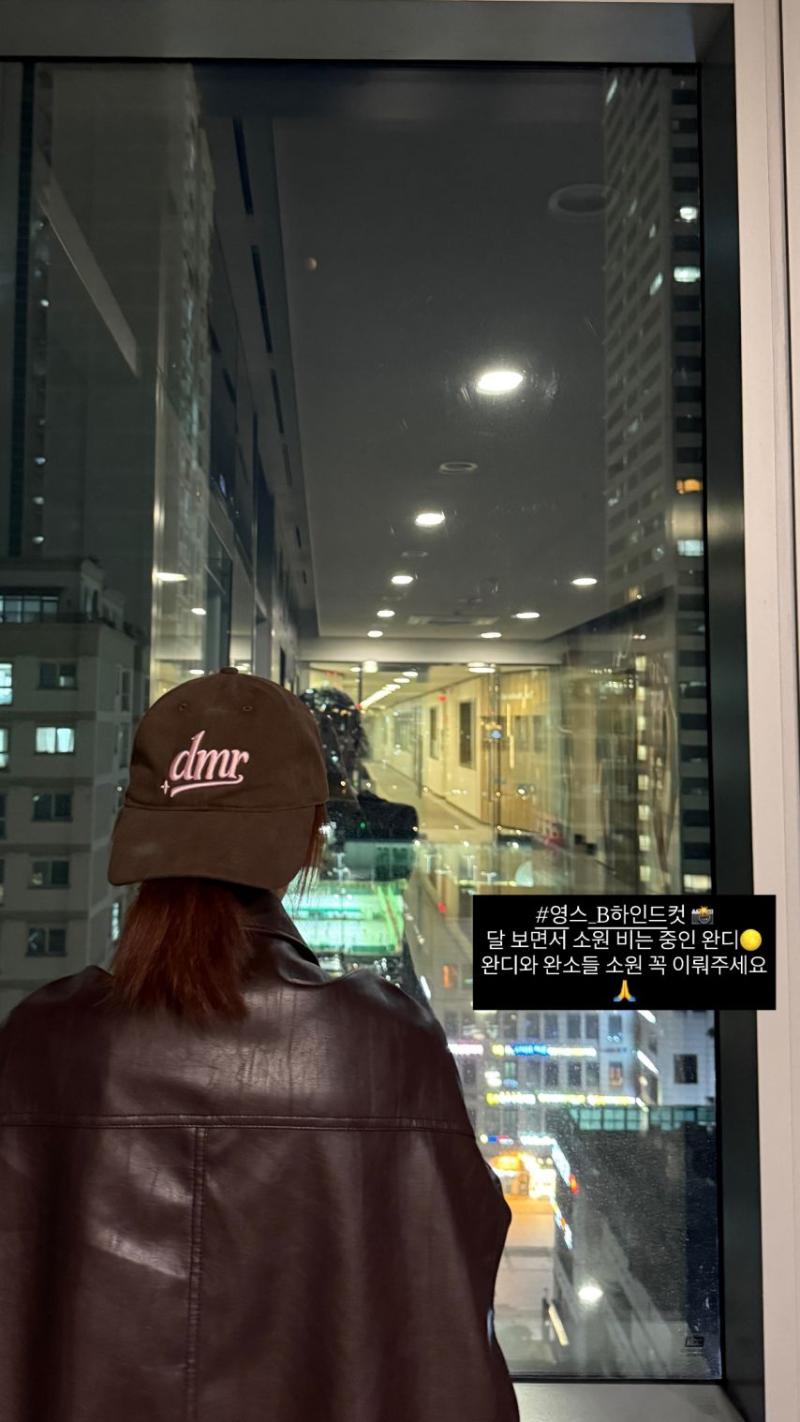 레드벨벳 웬디