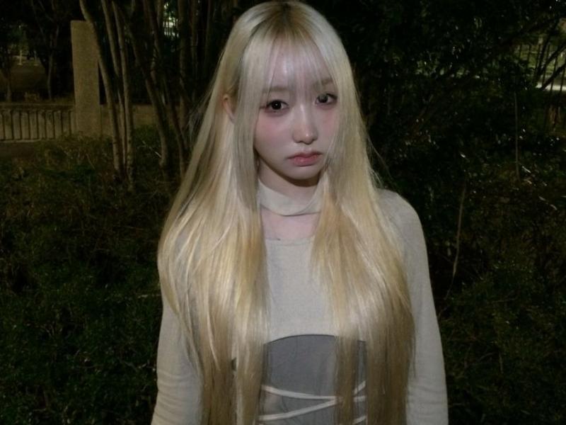 세이마이네임 메이