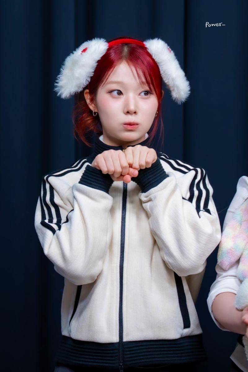 세이마이네임 도희