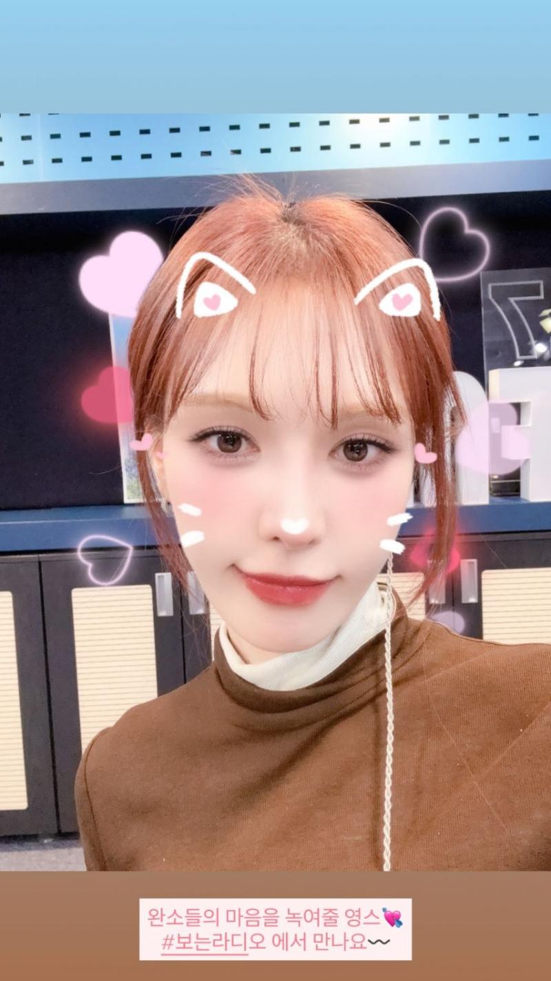 레드벨벳 웬디