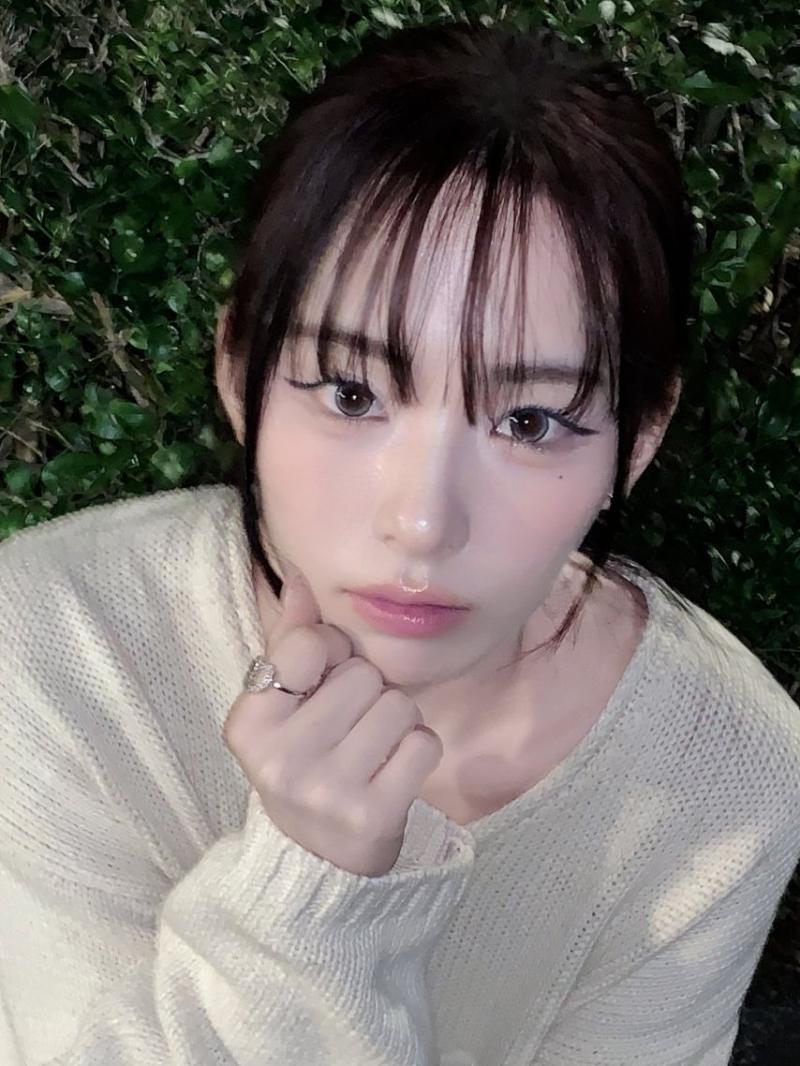 세이마이네임 슈이