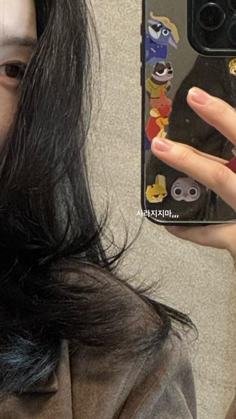 정채연