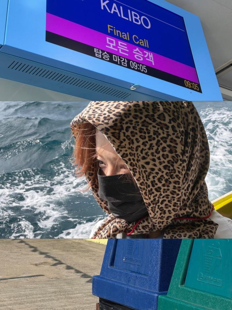 노정의 인별