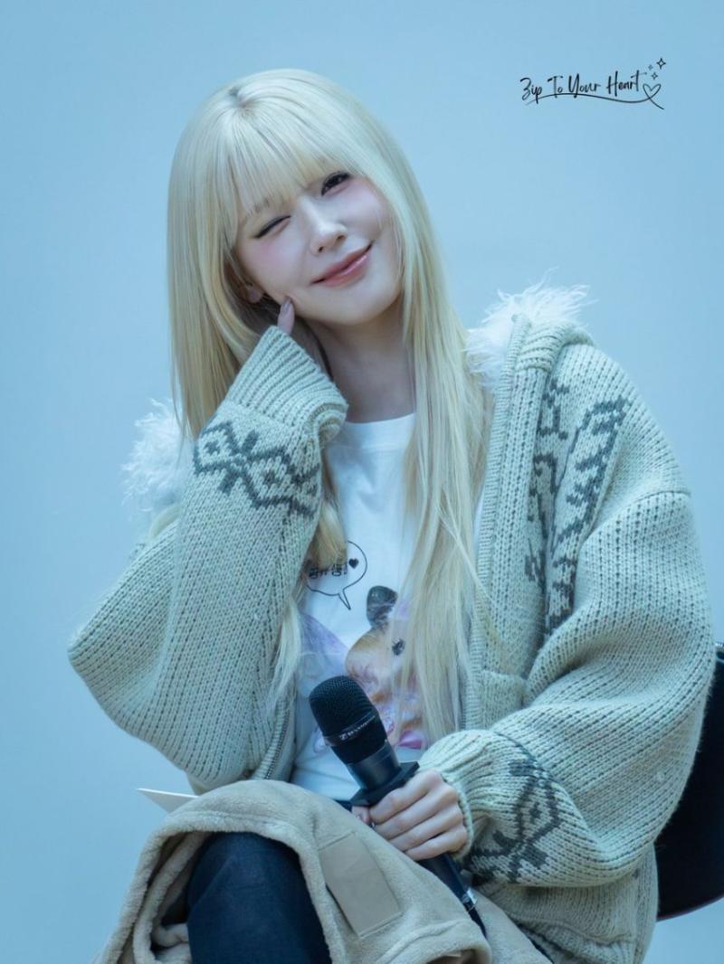 아니들 미연