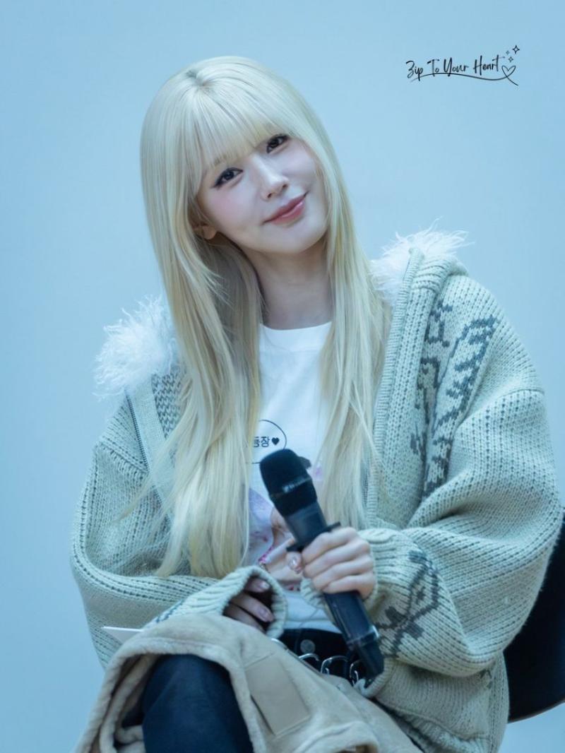 아니들 미연