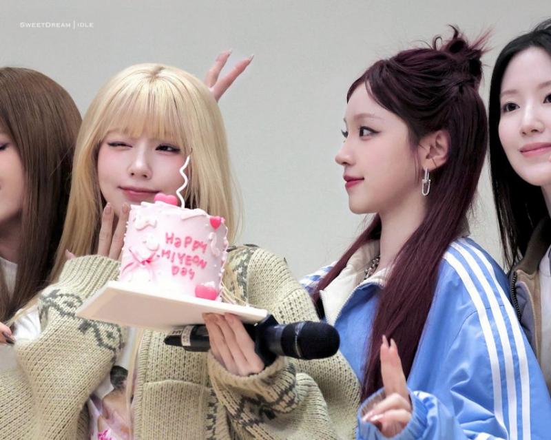 아니들 미연
