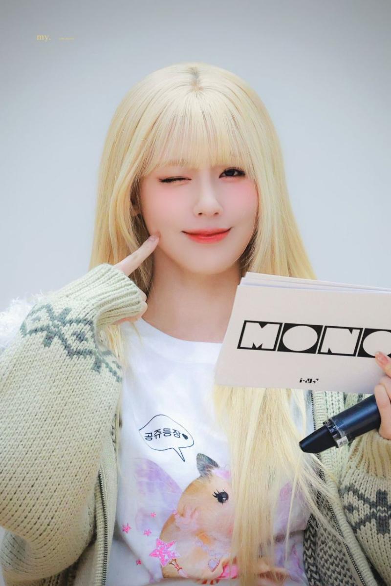 아니들 미연