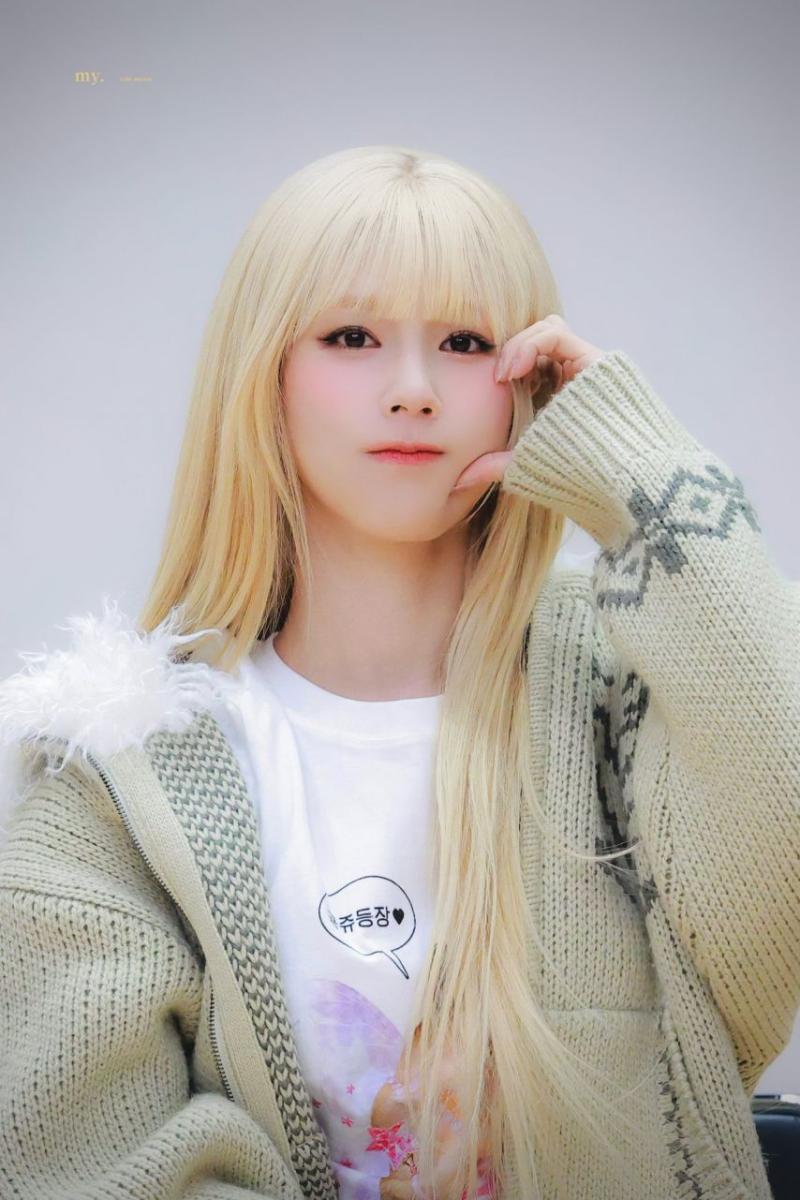 아니들 미연