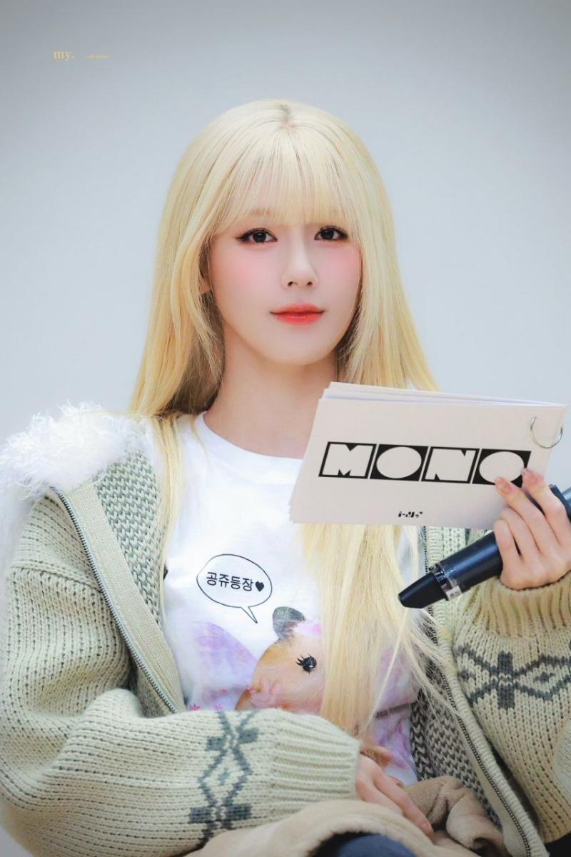 아니들 미연