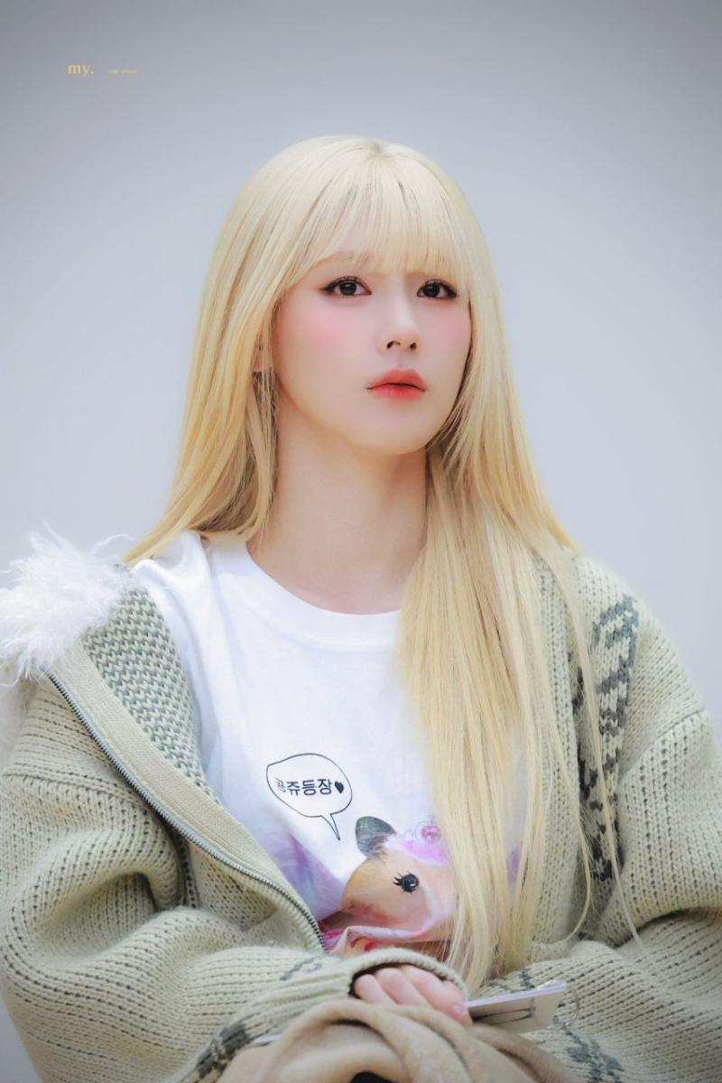 아니들 미연