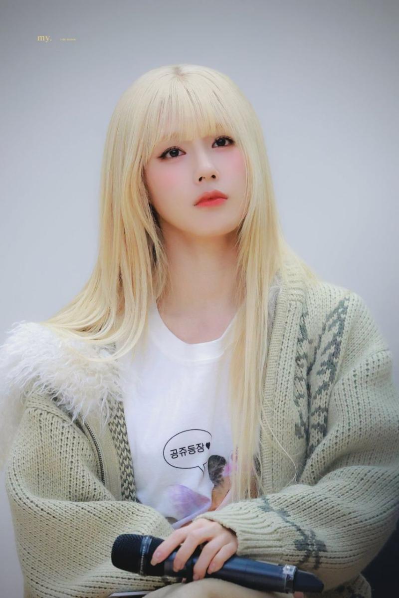 아니들 미연