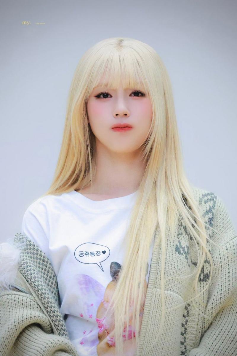 아니들 미연