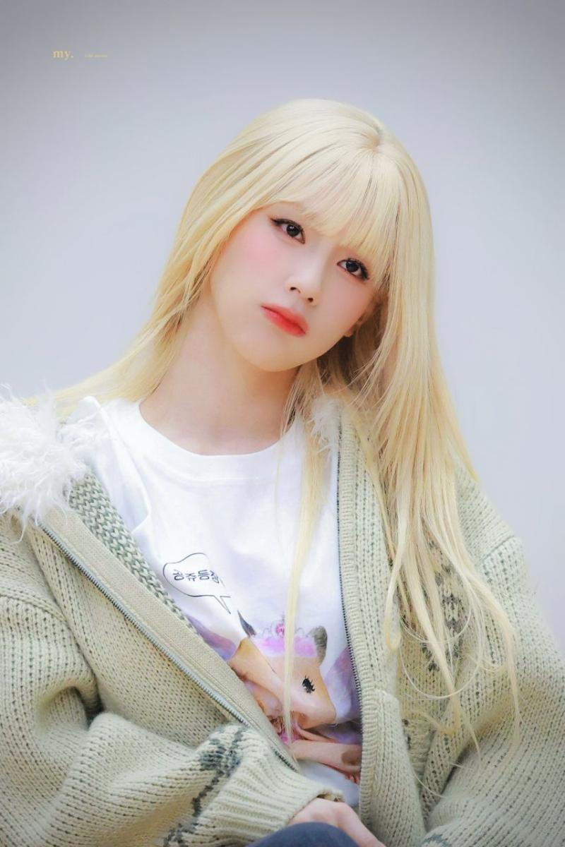 아니들 미연