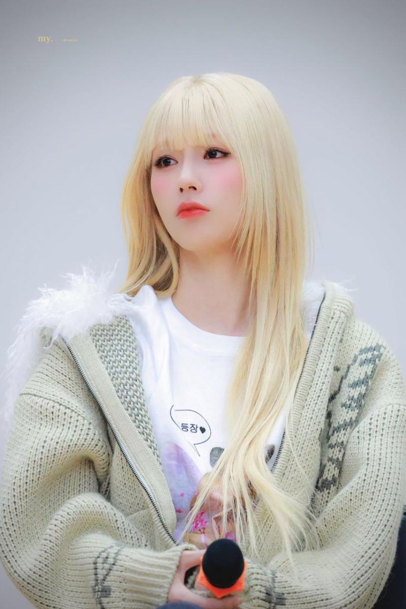 아니들 미연