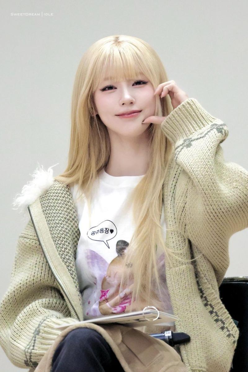 아니들 미연