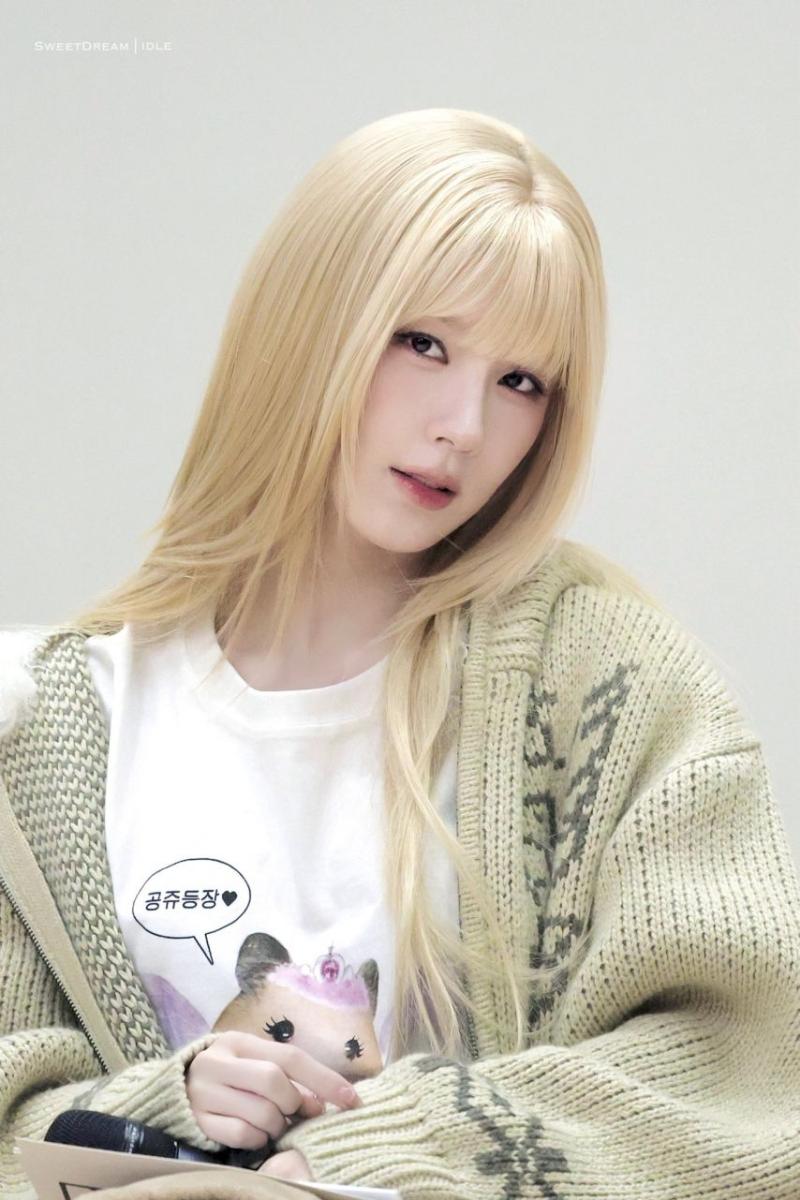아니들 미연