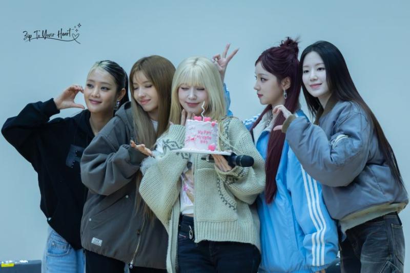 아니들 미연