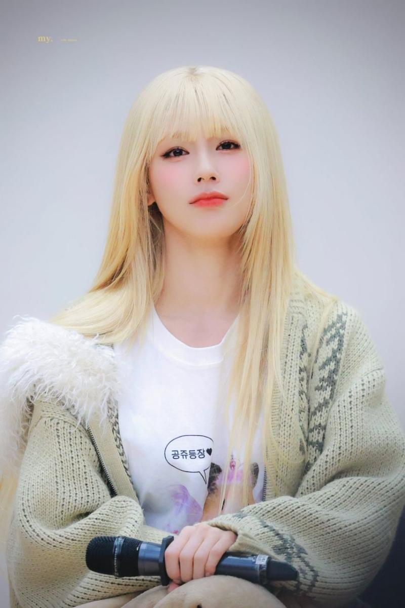 아니들 미연