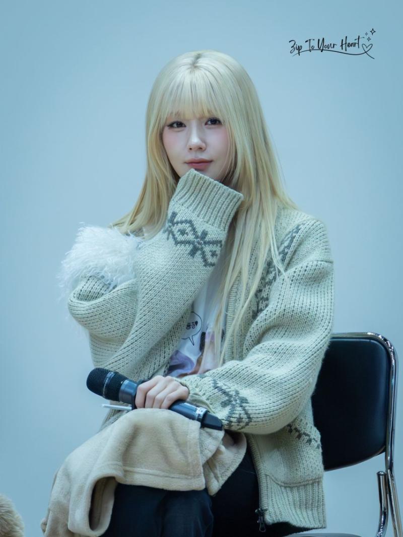 아니들 미연