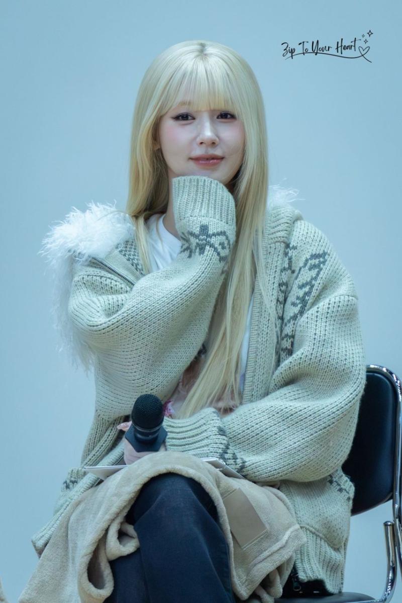 아니들 미연