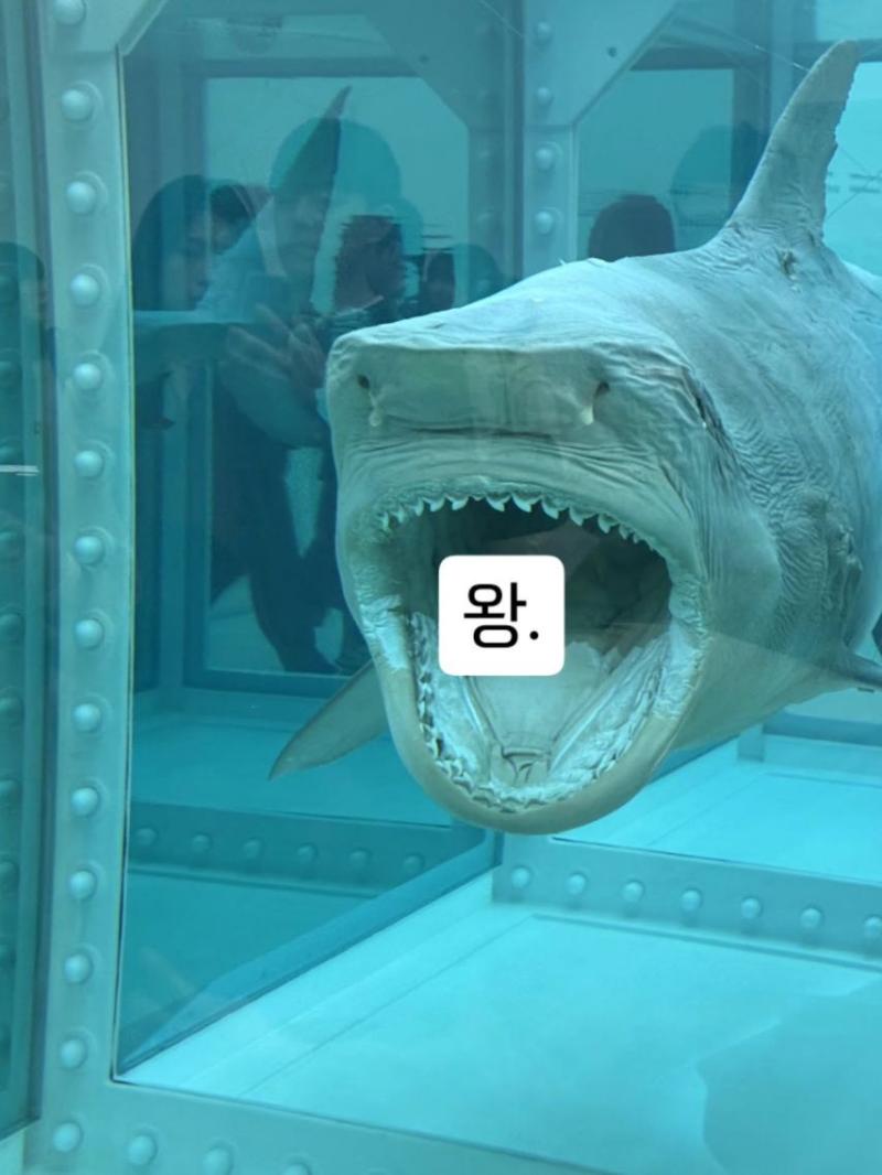 르세라핌 허윤진