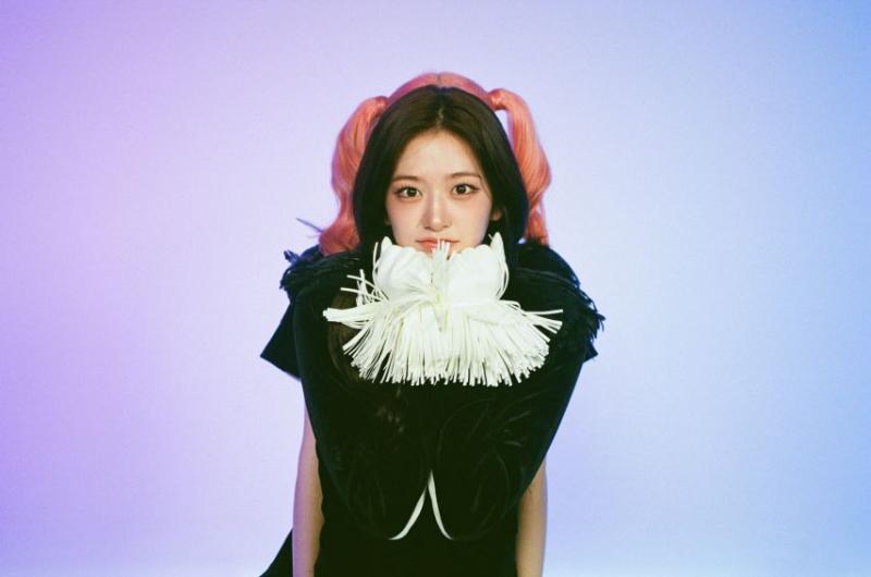 아이브