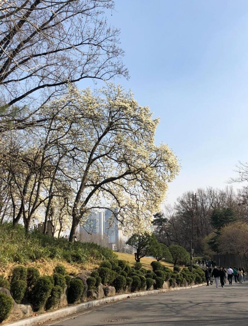 박세완 인별