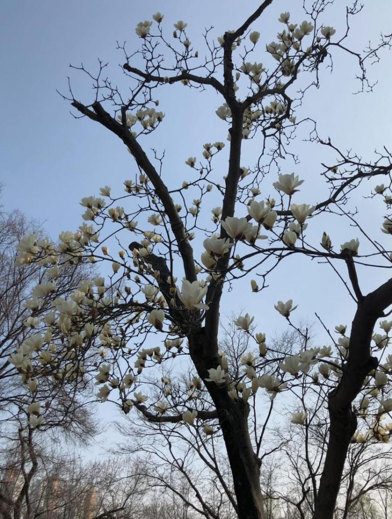 박세완 인별