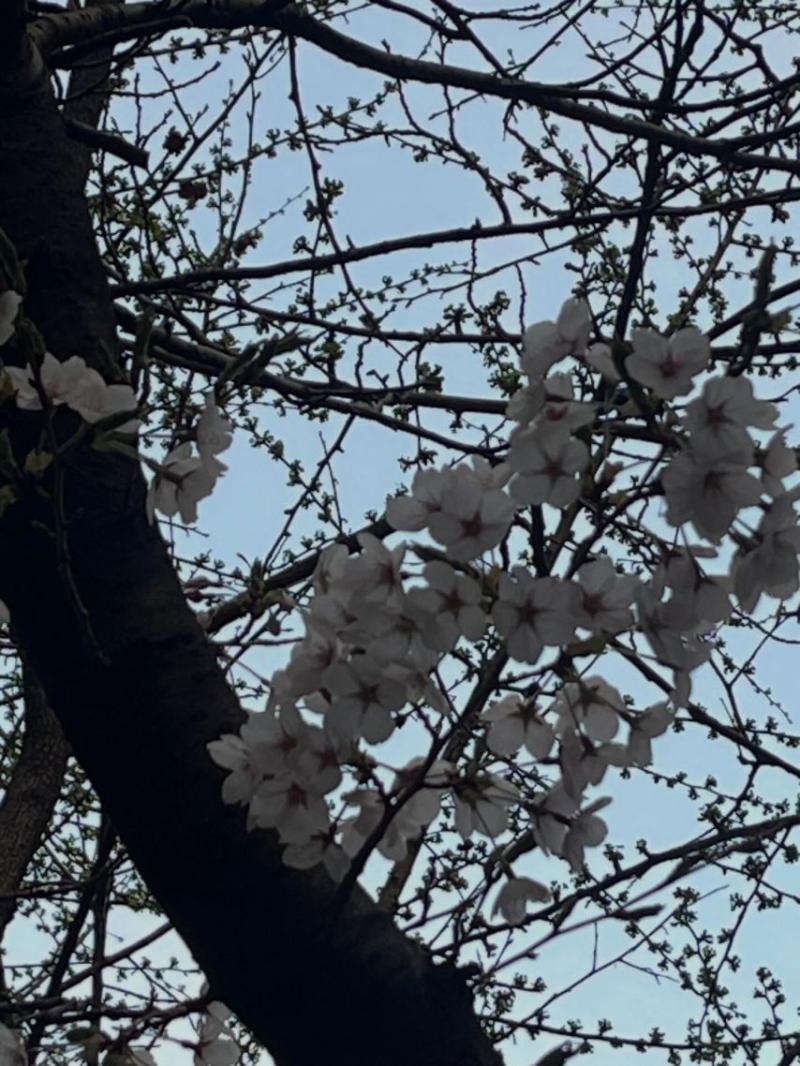 이주빈 인별