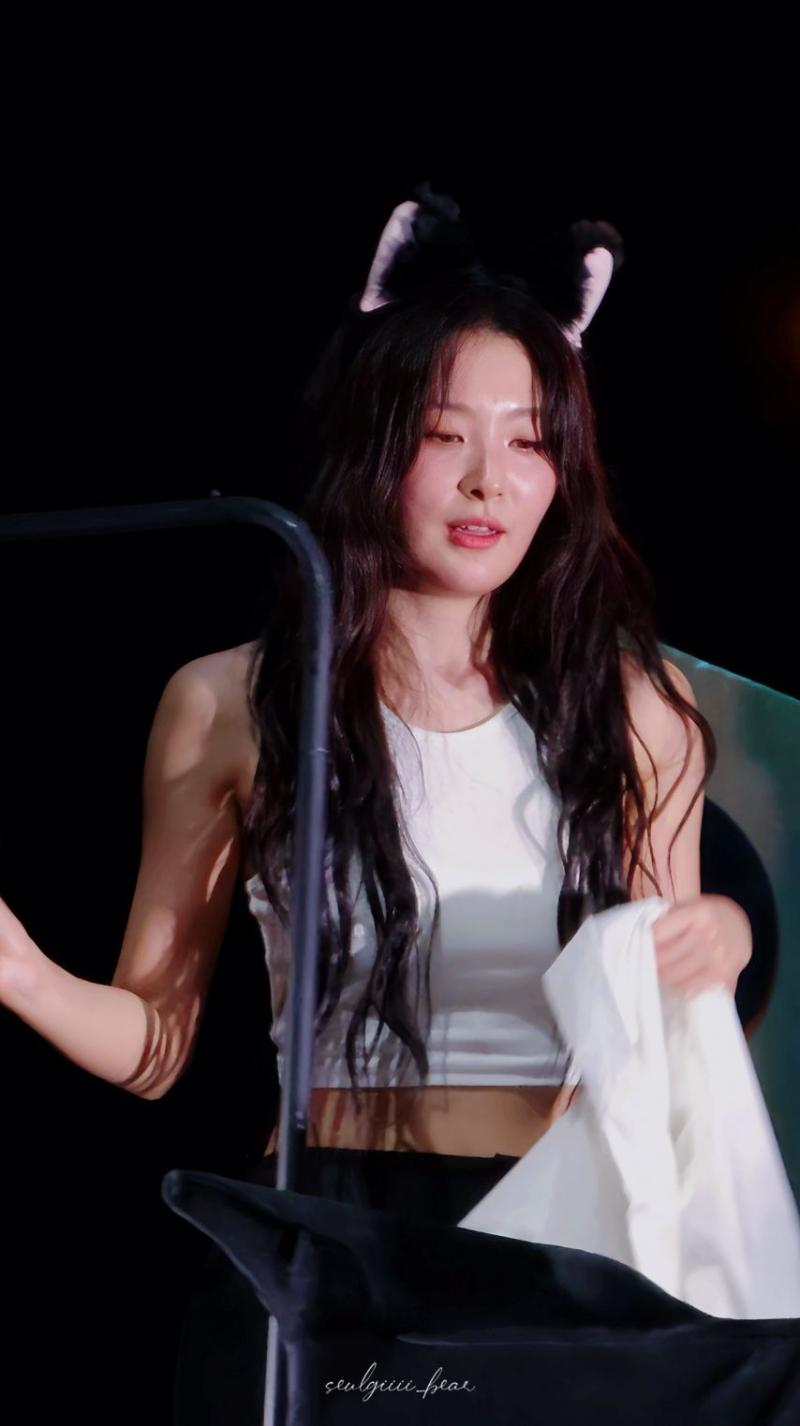 레드벨벳 슬기