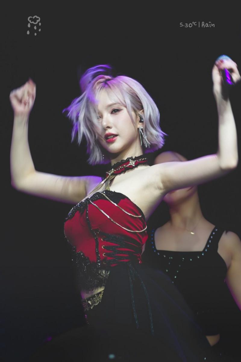 VIVIZ 은하