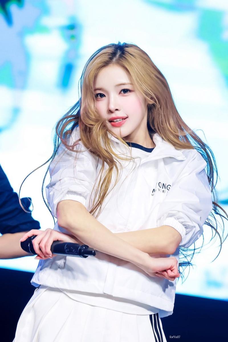 하츠투하츠 유하