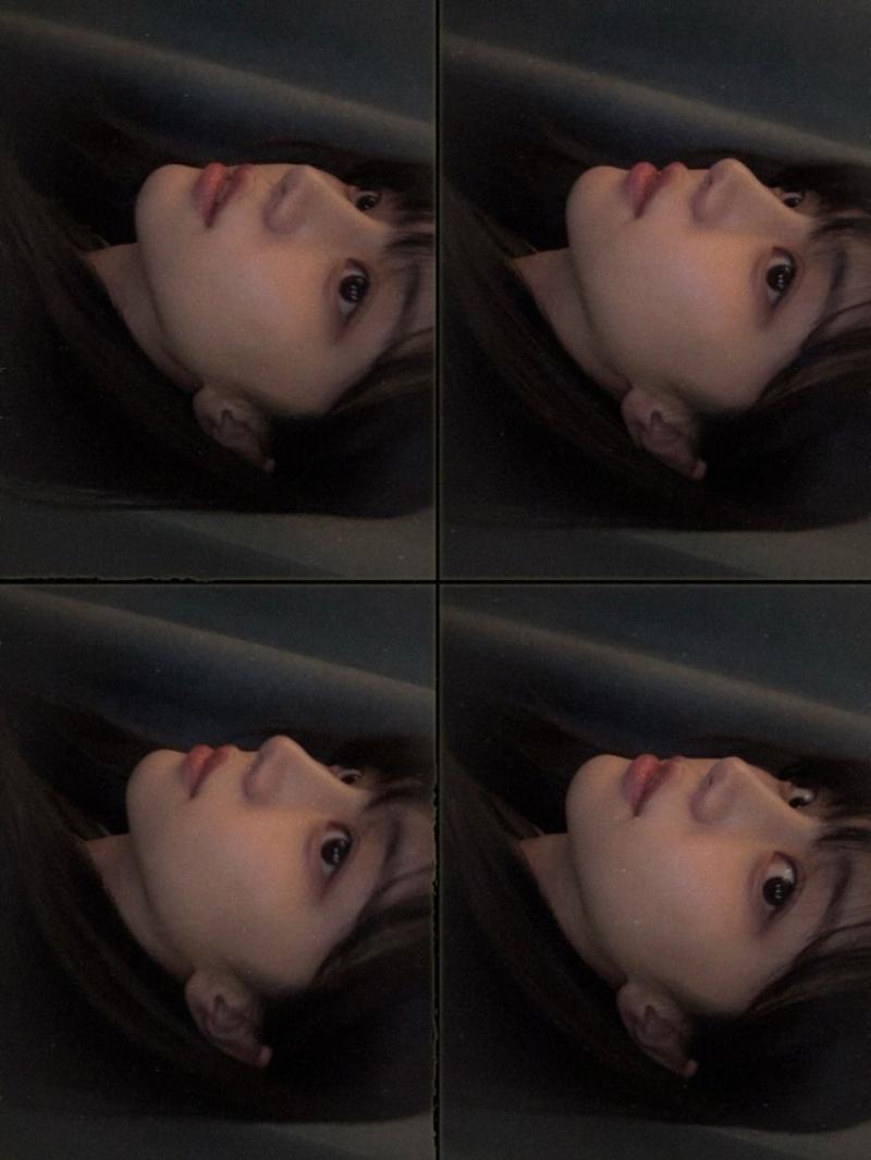 홍화연