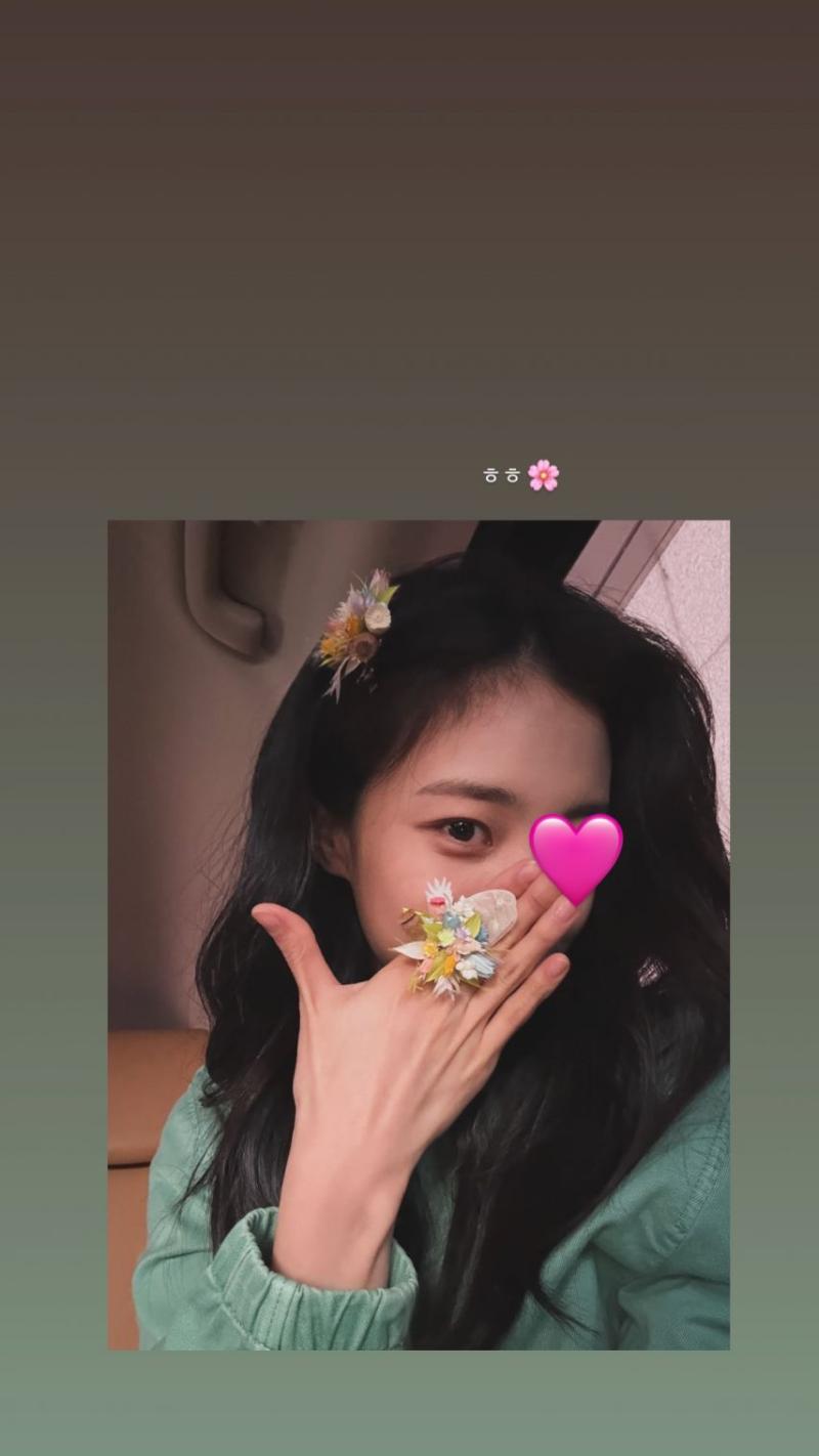 홍화연