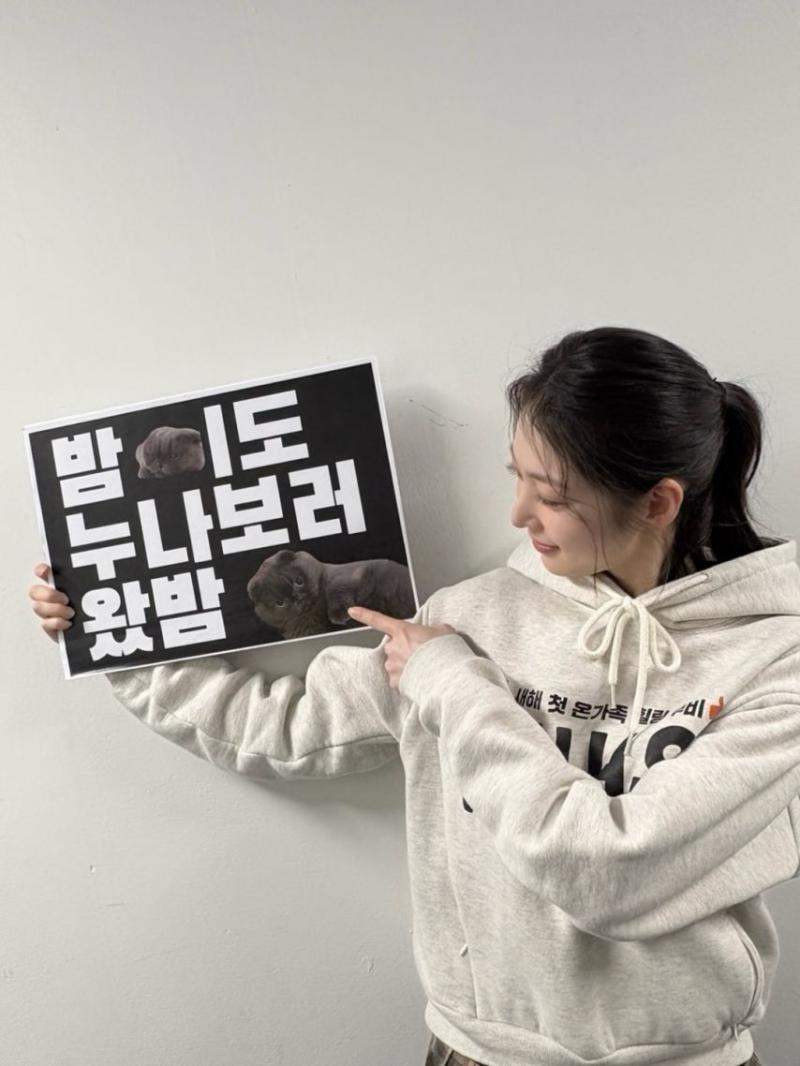 공승연