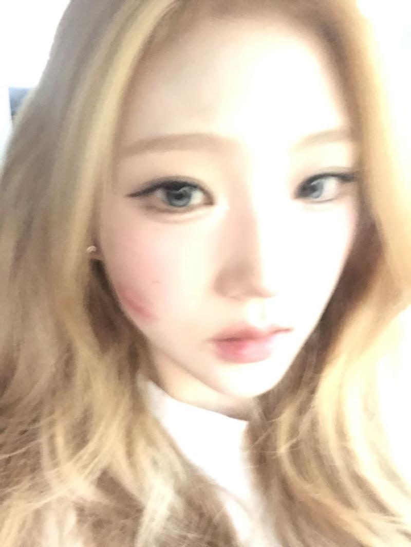 하츠투하츠 스텔라