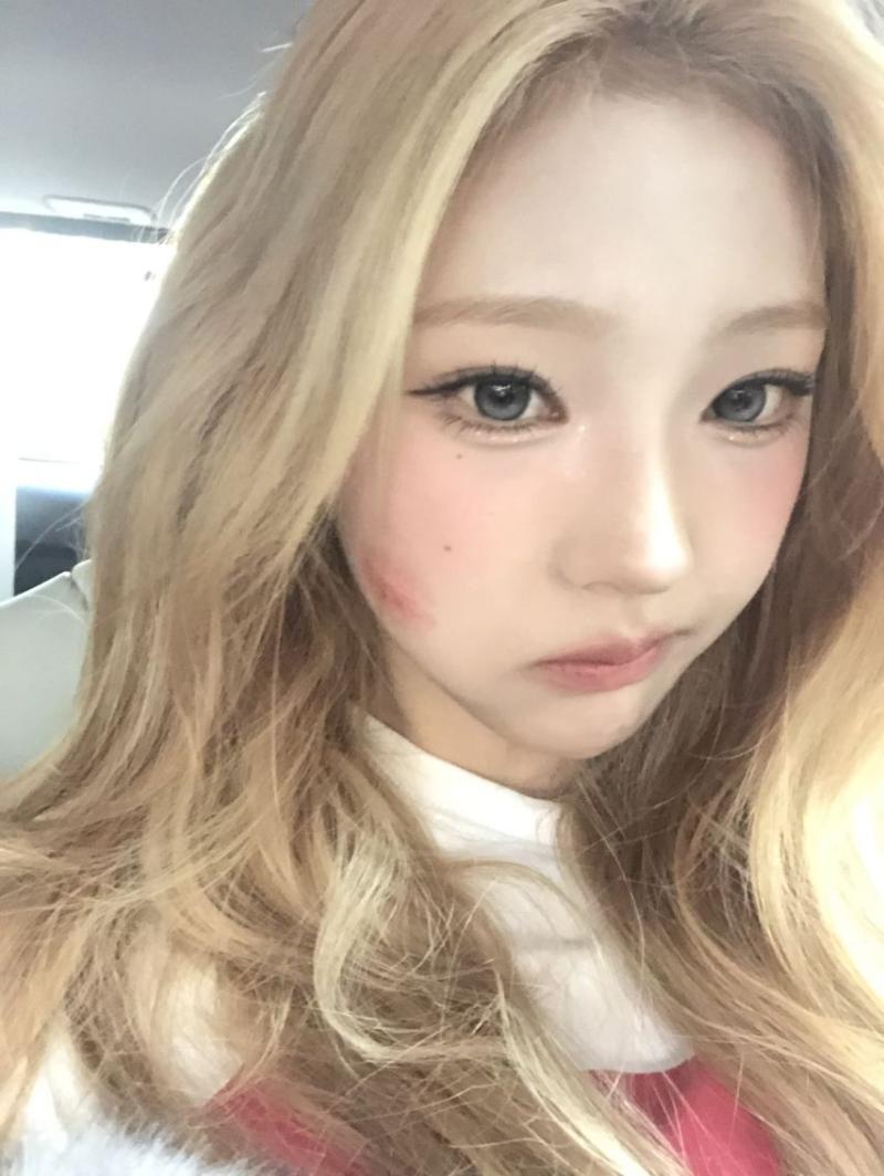 하츠투하츠 스텔라
