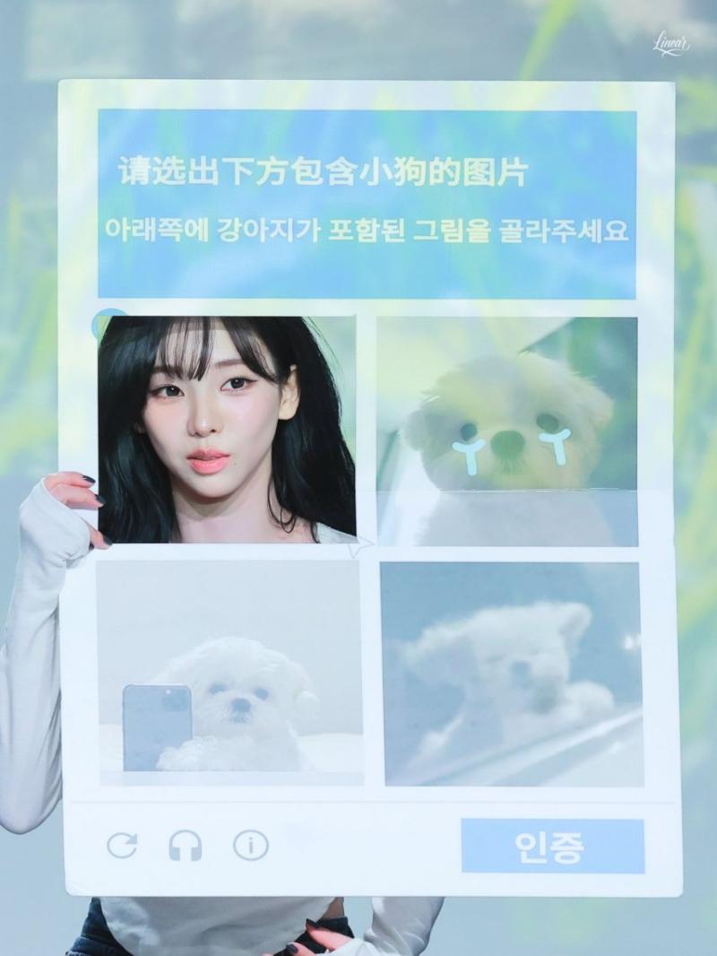 에스파 카리나