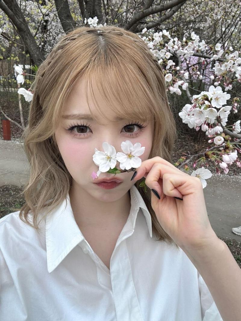 세이마이네임 히토미