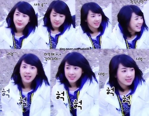 악플읽는게 제일 쉽다는 서인영 리즈