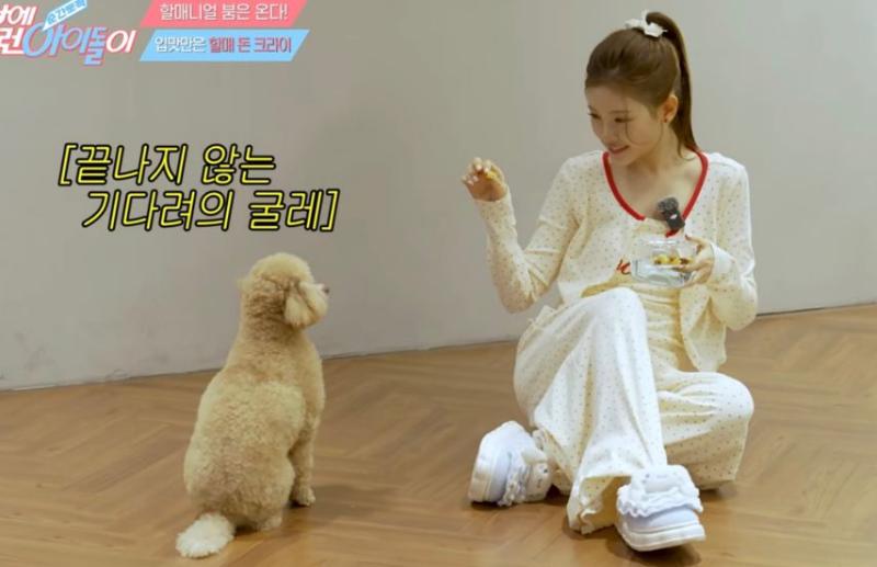 베이비돈크라이 이현