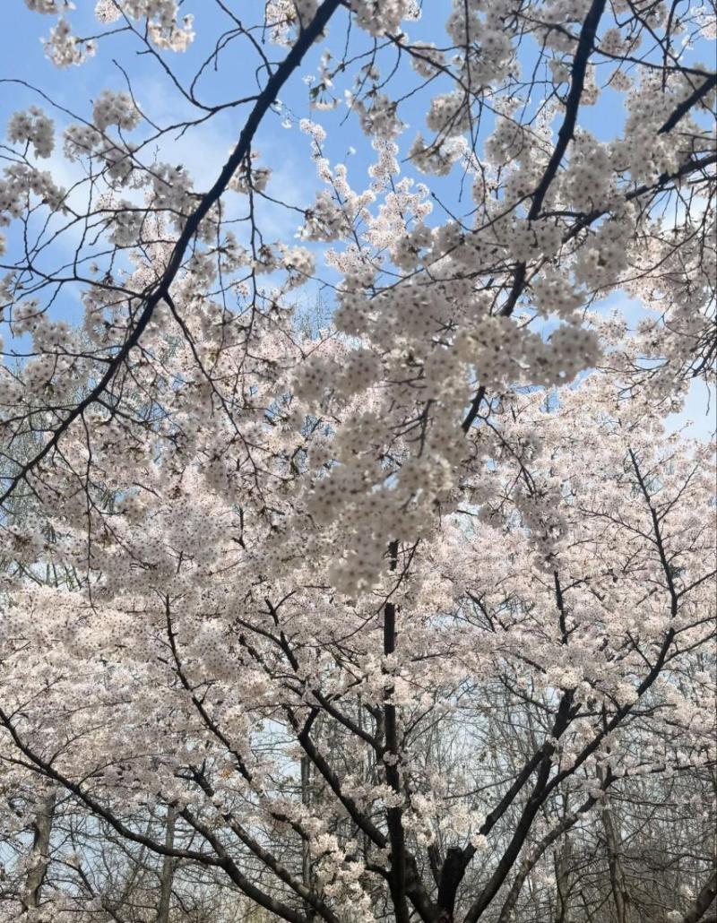 유인영 인별