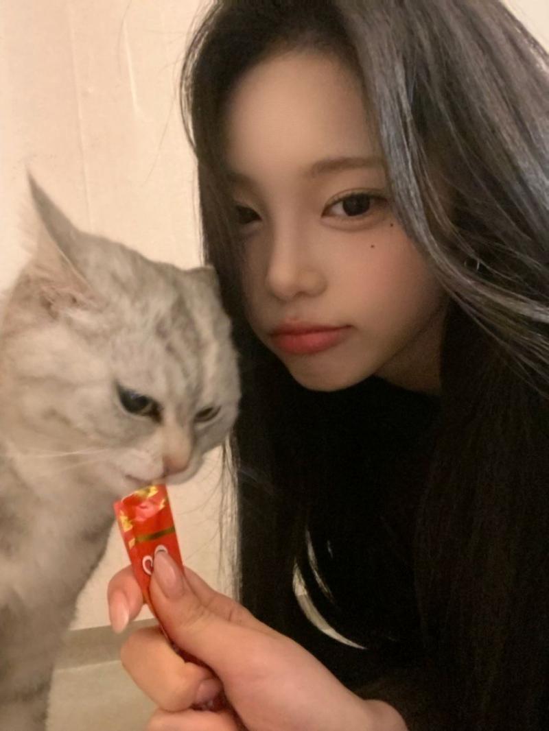 하츠투하츠 이안