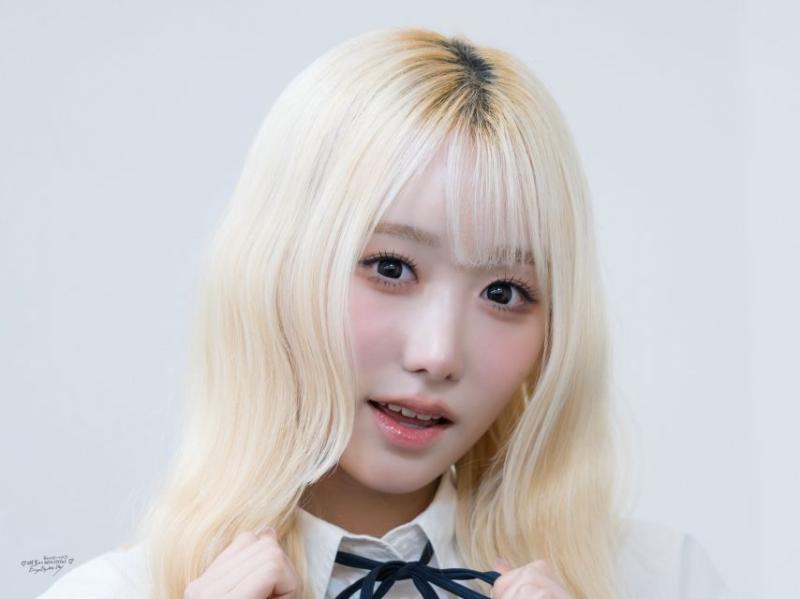 세이마이네임 메이