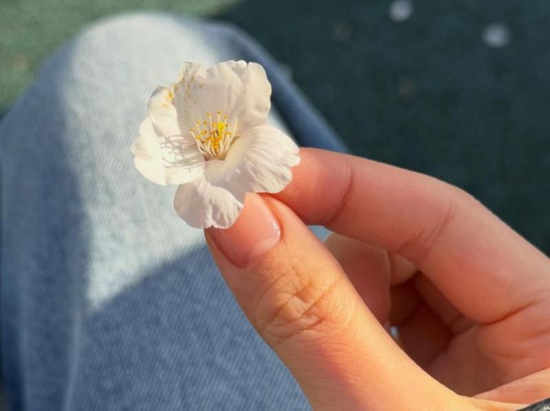 아이브 안유진