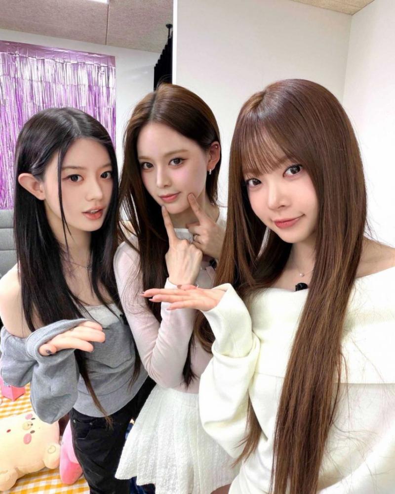 아일릿 민주