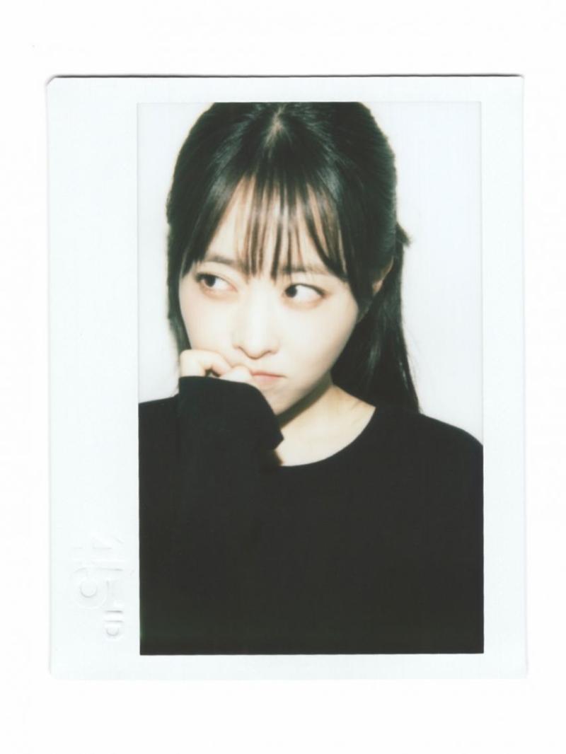 박보영