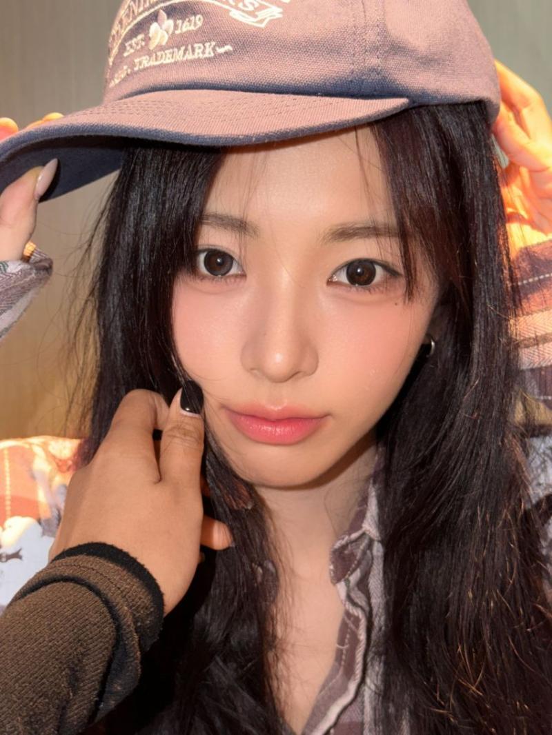 세이마이네임 슈이