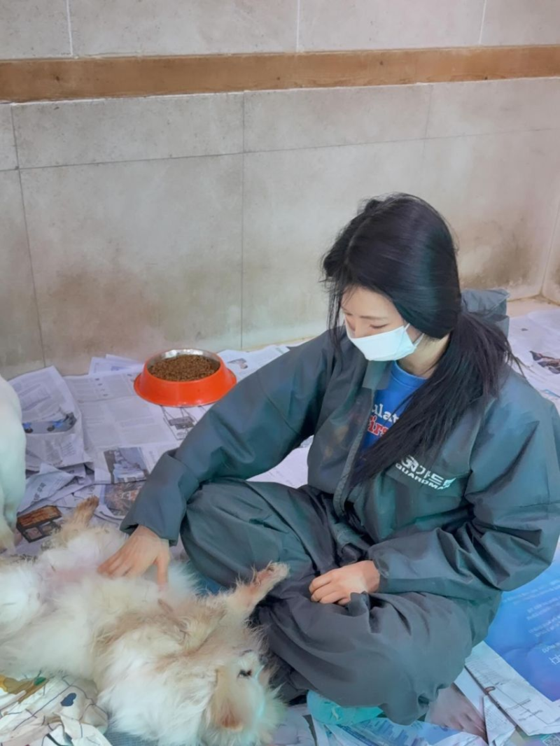 이세희