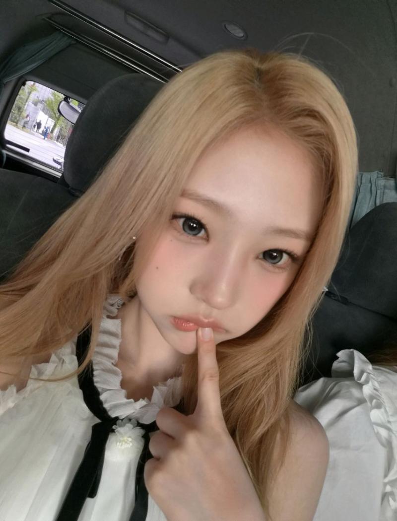 하츠투하츠 스텔라
